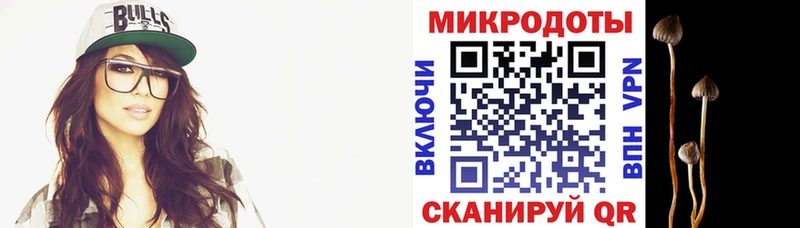 купить закладку  Донской  Псилоцибиновые грибы MAGIC MUSHROOMS 