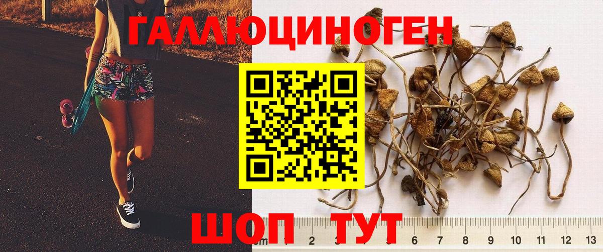 Галлюциногенные грибы ЛСД  Вход с VPN  Донской 