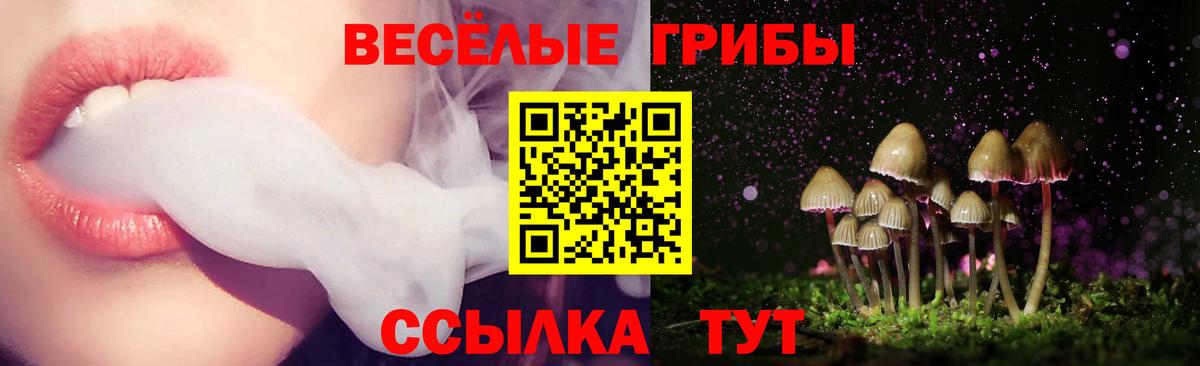 Псилоцибиновые грибы прущие грибы Донской