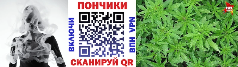 Конопля THC 21%  продажа наркотиков  Донской 